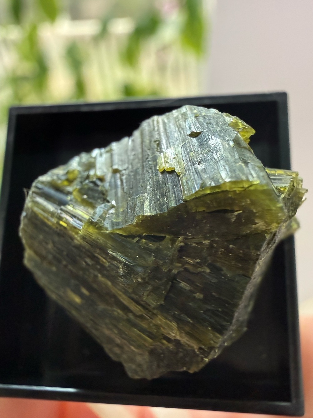 Natural Olive Green Tourmaline Display Specimen